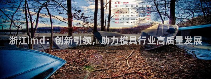 emc易倍首存500送球衣：浙江imd：创新引领，助力模
