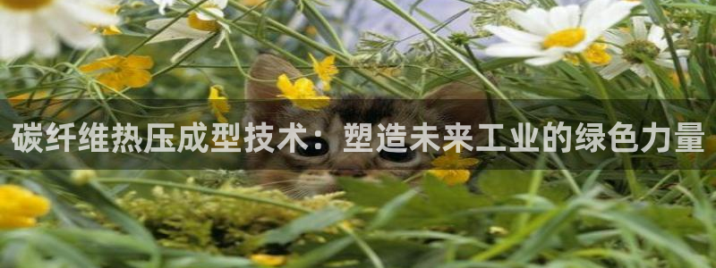 易倍纤谷物粉效果好吗：碳纤维热压成型技术：塑造未来工业的