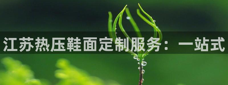 emc易倍黑吗：江苏热压鞋面定制服务：一站式