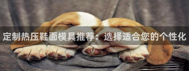 emc 倍频：定制热压鞋面模具推荐：选择适合您的个性化