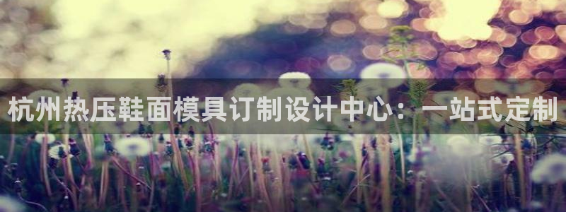 易倍纤谷物粉效果好吗：杭州热压鞋面模具订制设计中心：一站