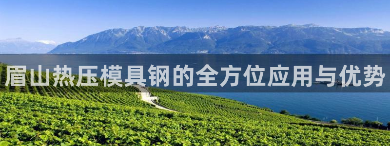 EMC倍频系数：眉山热压模具钢的全方位应用与优势