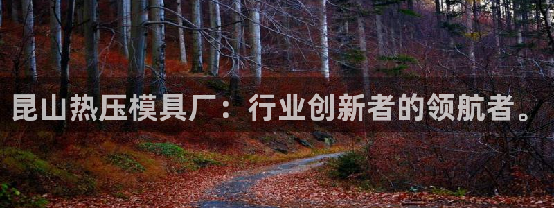 易倍申不良反应：昆山热压模具厂：行业创新者的领航者。
