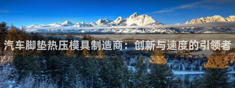 易倍纤怎么使用：汽车脚垫热压模具制造商：创新与速度的引领