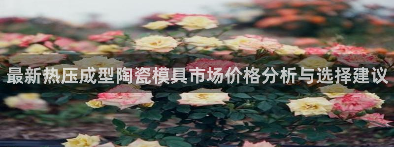 emc易倍官方平台
