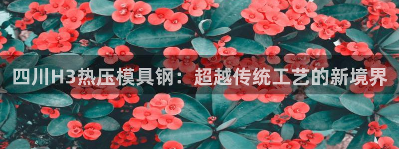 emc易倍官方平：四川H3热压模具钢：超越传统工艺的新境