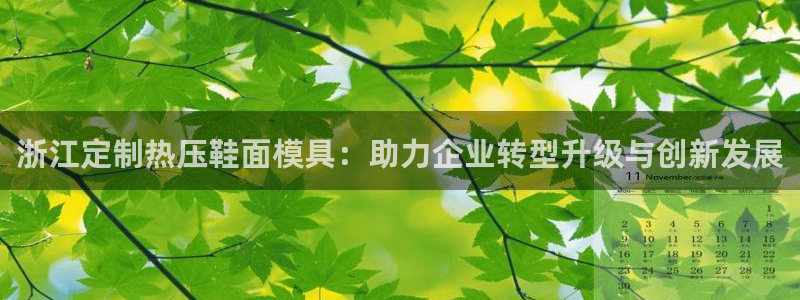 易倍纤奶昔减肥效果怎么样：浙江定制热压鞋面模具：助力企业