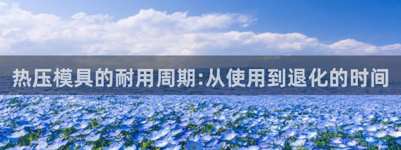 易倍企业管理软件：热压模具的耐用周期:从使用到退化的时间
