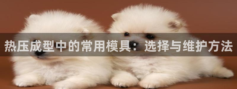 易倍易倍单词官方网站：热压成型中的常用模具：选择与维护方