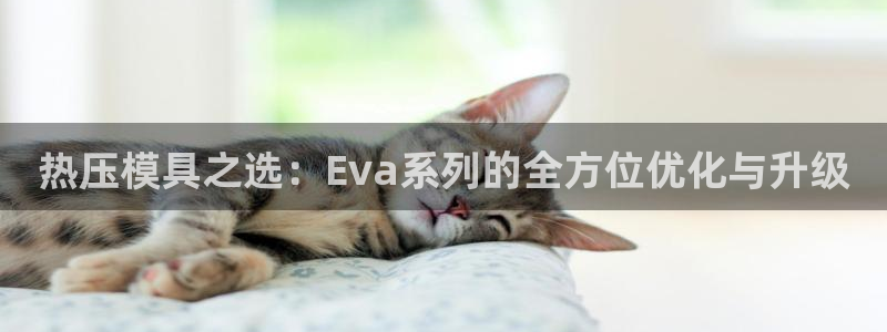 易倍申片的功效与作用：热压模具之选：Eva系列的全方位优