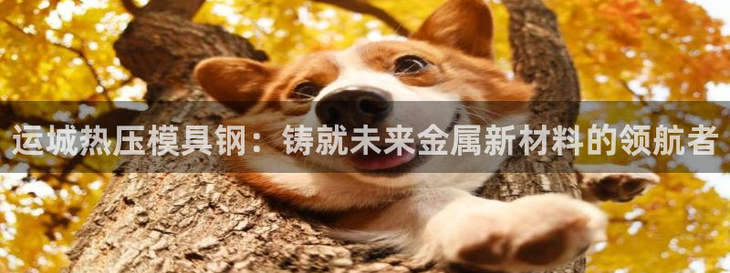 易倍申在中国成功上市：运城热压模具钢：铸就未来金属新材料