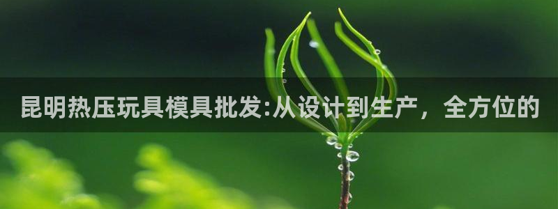 易倍网络技术有限公司怎么样：昆明热压玩具模具批发:从设计