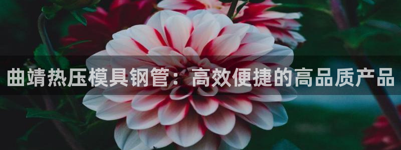 易倍全站