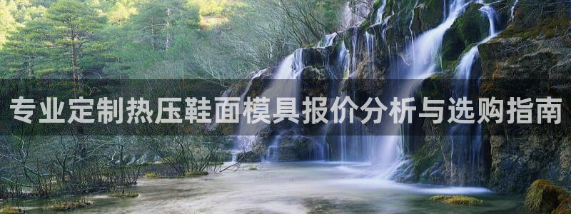 杭州易倍达科技有限公司怎么样：专业定制热压鞋面模具报价分