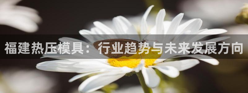 易倍申生产厂家：福建热压模具：行业趋势与未来发展方向