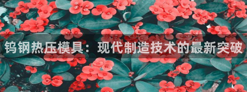 易倍电竞安装教程：钨钢热压模具：现代制造技术的最新突破