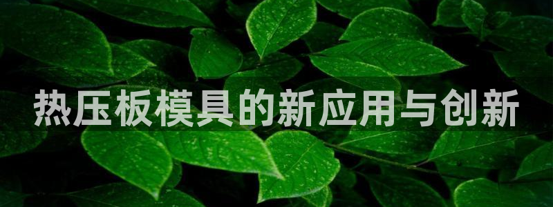 易倍康简历：热压板模具的新应用与创新