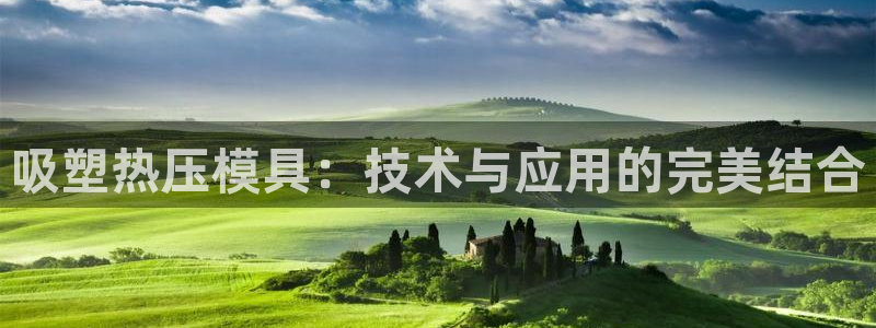 易倍申在中国成功上市：吸塑热压模具：技术与应用的完美结合