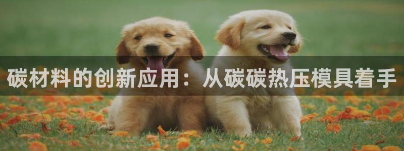 易倍纤官网：碳材料的创新应用：从碳碳热压模具着手