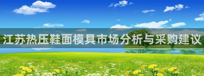 emc易倍怎么样：江苏热压鞋面模具市场分析与采购建议