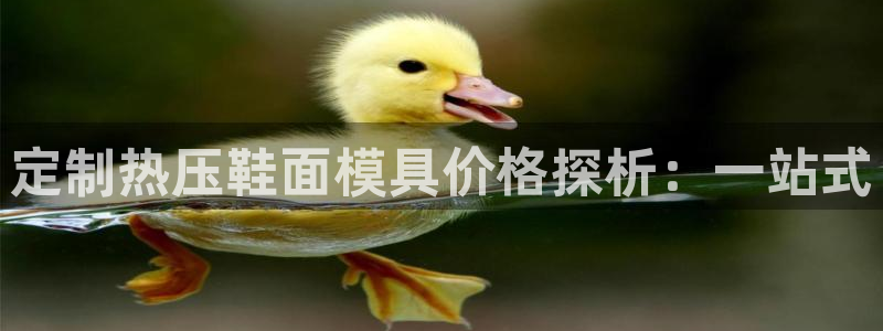 emc低频不过：定制热压鞋面模具价格探析：一站式
