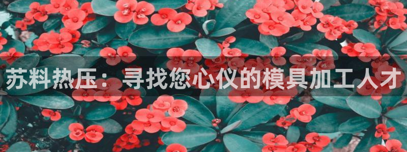 易倍纤奶昔减肥效果怎么样：苏料热压：寻找您心仪的模具加工