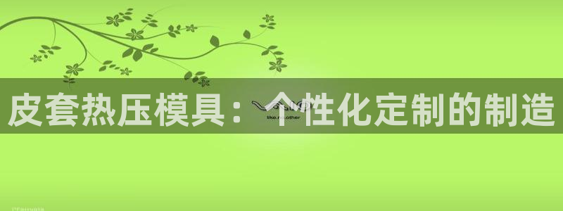 易倍单词官方网站登录：皮套热压模具：个性化定制的制造