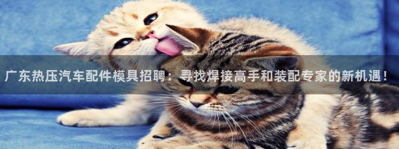 易倍网页版登录：广东热压汽车配件模具招聘：寻找焊接高手和