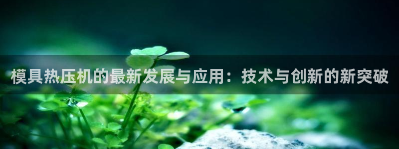杭州易倍达上班怎么样：模具热压机的最新发展与应用：技术与