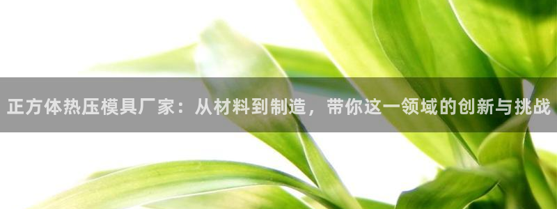 易倍单词官方网站的：正方体热压模具厂家：从材料到制造，带