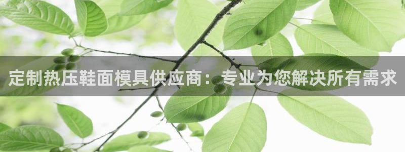 易倍纤酵素效果好吗