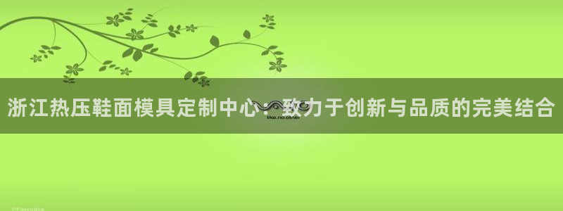 易倍单词如何下载：浙江热压鞋面模具定制中心：致力于创新与