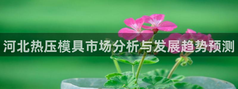 易倍纤减肥价格：河北热压模具市场分析与发展趋势预测