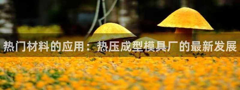 易倍单词软件：热门材料的应用：热压成型模具厂的最新发展