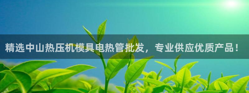 emc登录网站：精选中山热压机模具电热管批发，专业供应优