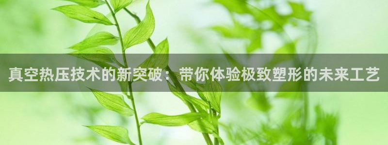 易倍申厂家：真空热压技术的新突破：带你体验极致塑形的未来