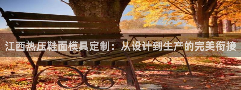 易倍申价格：江西热压鞋面模具定制：从设计到生产的完美衔接