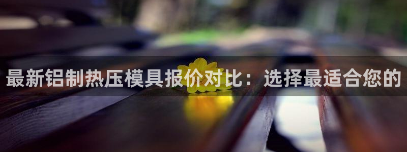 易倍纤瘦身三部曲的价格：最新铝制热压模具报价对比：选择最