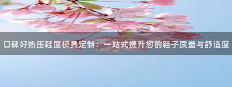 emc易倍官网登录入口：口碑好热压鞋面模具定制：一站式提