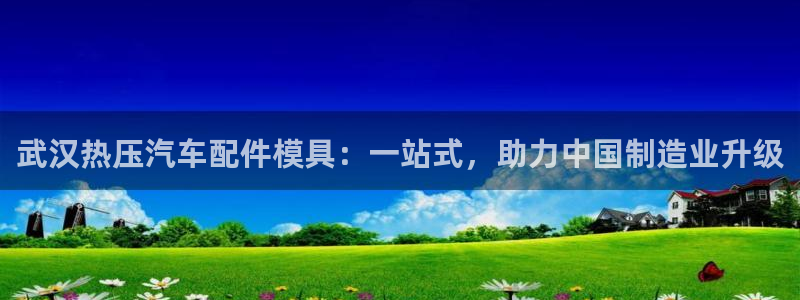 EMC易倍官方网址：武汉热压汽车配件模具：一站式，助力中
