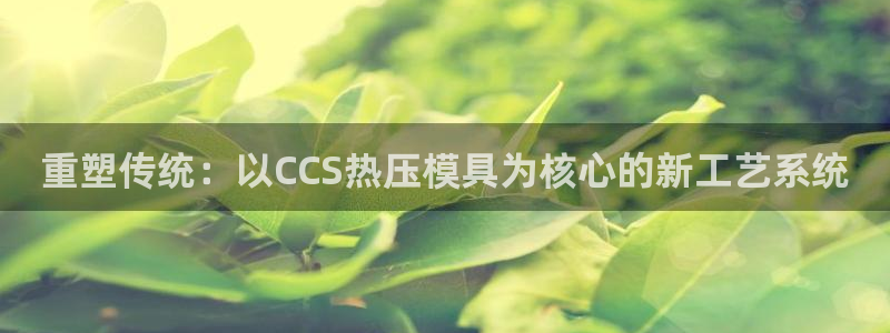 EMC易倍官方平台：重塑传统：以CCS热压模具为核心的新