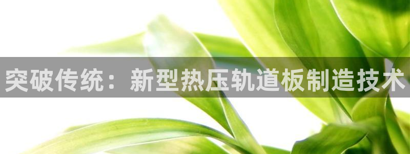 易倍网络技术有限公司怎么样：突破传统：新型热压轨道板制造