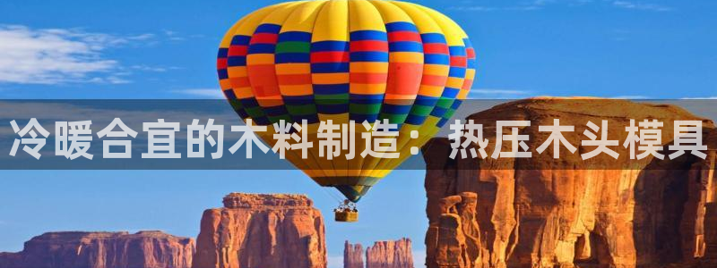 emc服务器是干啥的：冷暖合宜的木料制造：热压木头模具