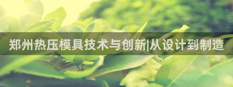 emc易倍官方平：郑州热压模具技术与创新|从设计到制造