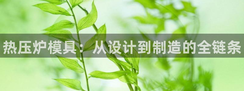 emc32软件使用说明：热压炉模具：从设计到制造的全链条