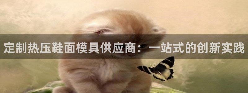 emc易倍全站：定制热压鞋面模具供应商：一站式的创新实践