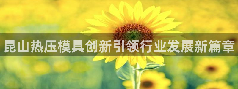 易倍申每盒价格是多少?：昆山热压模具创新引领行业发展新篇
