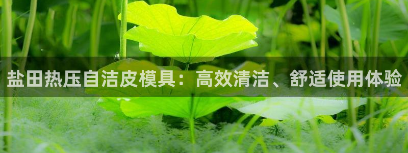 易倍申医保报销：盐田热压自洁皮模具：高效清洁、舒适使用体