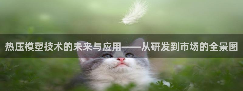 emc32软件使用说明：热压模塑技术的未来与应用——从研
