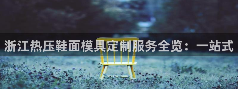 易倍EMC网址：浙江热压鞋面模具定制服务全览：一站式